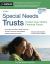 Special Needs Trusts : Protect Your Child's Financial Future