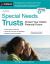Special Needs Trusts : Protect Your Child's Financial Future