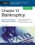 Chapter 13 Bankruptcy : Keep Your Property and Repay Debts over Time