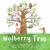 Mulberry Trio : Three Books in One: Pancakes and Socks, Piggyways and Achoo! Achoo! I've Got the Flu Too