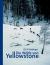 Die Wölfe Von Yellowstone