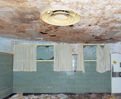 Revive the Ambience : II