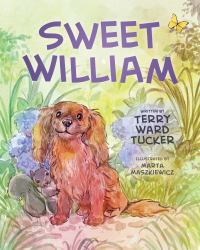 Sweet William