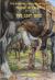 The Navarre Link Chronicles : Change of Leads: the Lost Shoe Book One The Navarre Link Chronicles : Change of Leads: the Lost Shoe Book One
