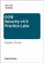 CCIE Security v4.0 Practice Labs CCIE Security v4.0 Practice Labs