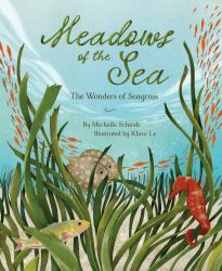Meadows of the Sea : The Wonders of Seagrass
