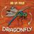 Dragonfly Dragonfly