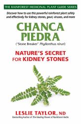 Chanca Piedra : Nature's Secret for Kidney Stones