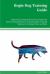 Bogle Dog Training Guide Bogle Dog Training Book Features: Bogle Dog Housetraining, Obedience Training, Agility Training, Behavioral Training, Tricks and More Bogle Dog Training Guide Bogle Dog Training Book Features: Bogle Dog Housetraining, Obedience Training, Agility Training, Behavioral Training, Tricks and More