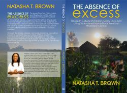 The Absence of Excess : Stories on Cultural Immersion, Godly Love, and Living Surrendered from a Black American Missionary in Africa