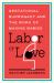 Labor of Love : Gestational Surrogacy and the Work of Making Babies