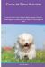 Coton de Tulear Activities Coton de Tulear Tricks, Games and Agility. Includes: Coton de Tulear Beginner to Advanced Tricks, Series of Games, Agility and More