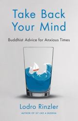Take Back Your Mind : Buddhist Advice for Anxious Times: Buddhist Advice for Anxious Times
