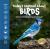 Today I Learned about Birds : Discover Where Birds Live, What They Eat, How They Look and Act, and What You Can See in Your Own Backyard and Neighborhood