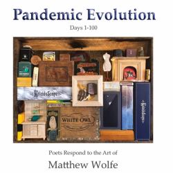 Pandemic Evolution : Days 1-100