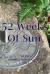 52 Weeks of Sun 52 Weeks of Sun