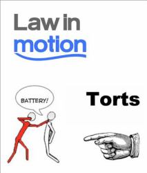 Law in Motion Guide to Torts MBE
