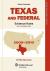 Texas and Federal Evidence Rules 2009-2010