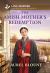The Amish Mother's Redemption : An Amish Second Chance Matchmaker Romance