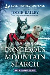 Dangerous Mountain Search