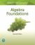 Algebra Foundations : Prealgebra, Introductory Algebra and Intermediate Algebra Plus Video Organizer
