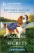 Holding onto Secrets : An Uplifting Inspirational Romance