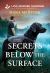 Secrets below the Surface Secrets below the Surface