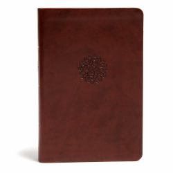 Psalms of the Bible: the Songs of Scripture in Both Contemporary and Classic Form