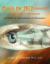 Gnosis for 2012 Onward : The Story of How We Begin to Remember