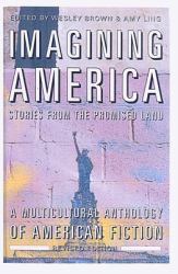 Imagining America : Stories from the Promised Land