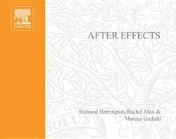 After Effects On the Spot