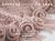 Knitting over the Edge : The Second Essential Collection of over 350 Decorative Borders