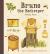 Bruno the Beekeeper : A Honey Primer