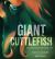 Giant Cuttlefish: Chameleon of the Sea