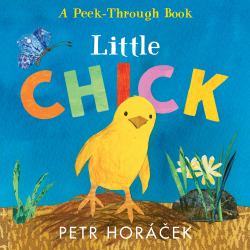 Little Chick : (Ideal for Easter Baskets)
