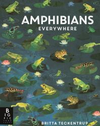 Amphibians Everywhere