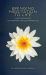 Bringing Meditation to Life : 108 Teachings on the Path of Zen Practice