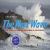 The Next Wave : The Quest to Harness the Power of the Oceans