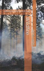 Wildfire : Overcoming the Spirit of Anger
