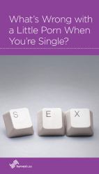 What's Wrong with a Little Porn When You're Single?