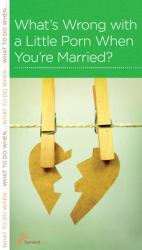 What's Wrong with a Little Porn When You're Married?