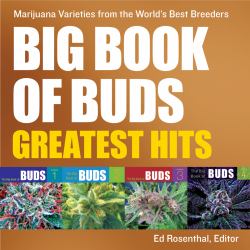 Big Book of Buds Greatest Hits : Marijuana Varieties from the World's Best Breeders