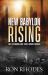 New Babylon Rising : The Emerging End Times World Order