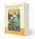 Armand Bayou Illustrated A Life On the Bayou