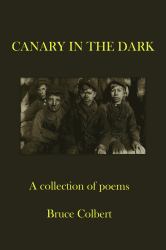 Canary in the Dark