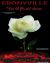 Ebonyville : Tales of an Abused Woman