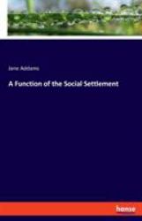 A Function of the Social Settlement