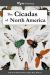 The Cicadas of North America