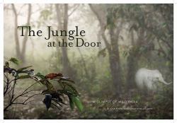 Jungle at the Door : A Glimpse of Wild India
