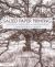 Salted Paper Printing : A Step-By-Step Manual Highlighting Contemporary Artists